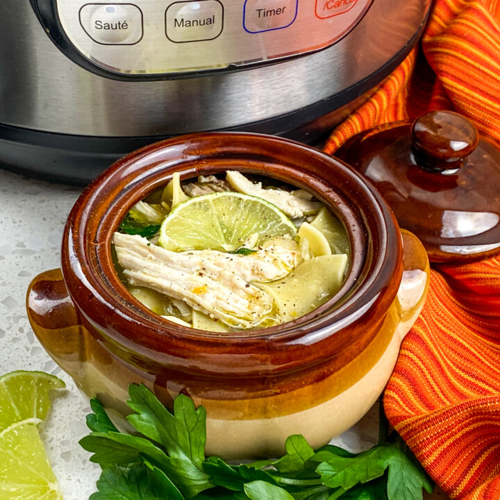 Instant Pot Chicken Noodle Soup